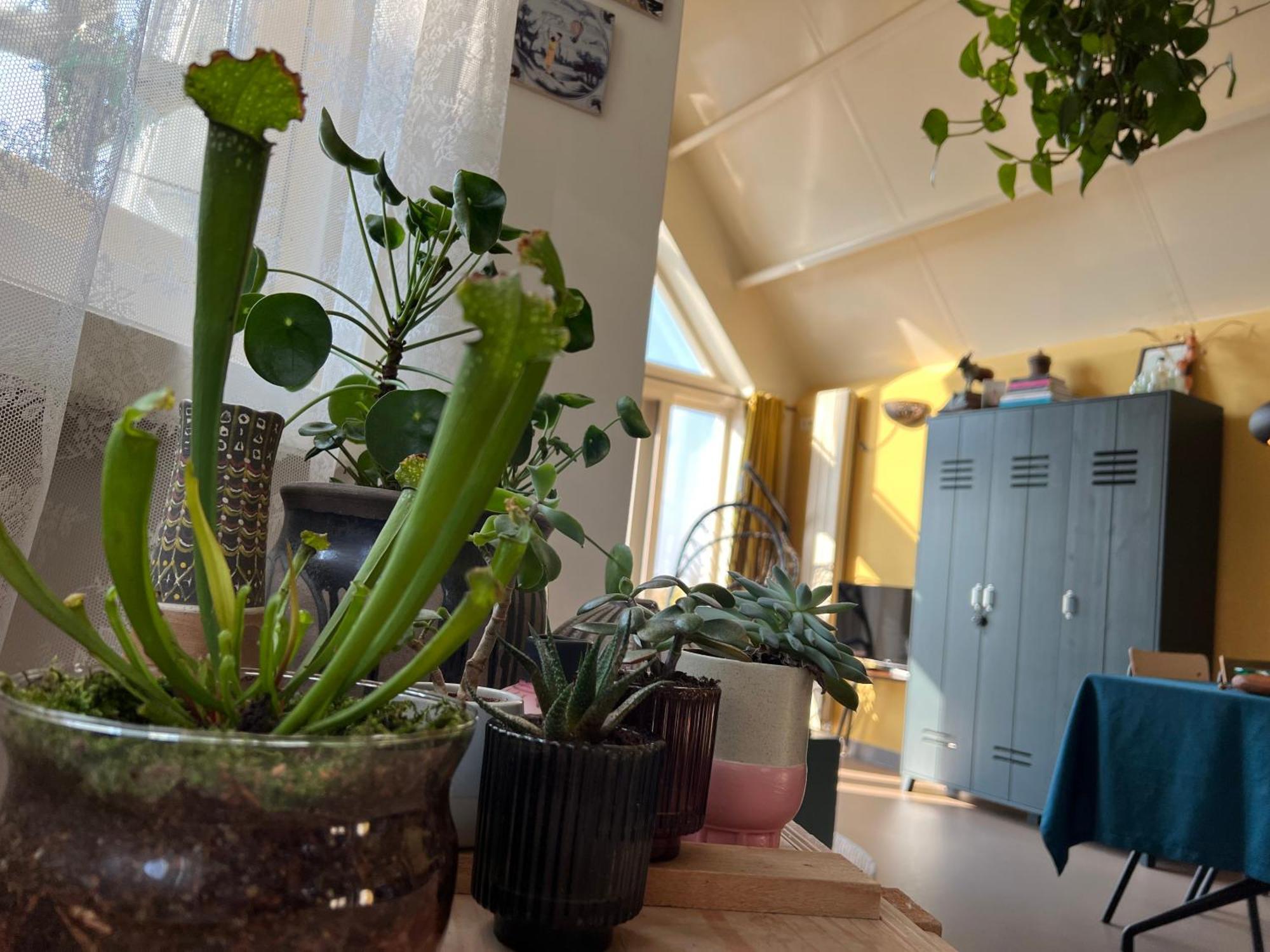 Romantic Dutch Hideaway Jisp Luaran gambar